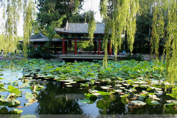 Tsinghua University 清华大学