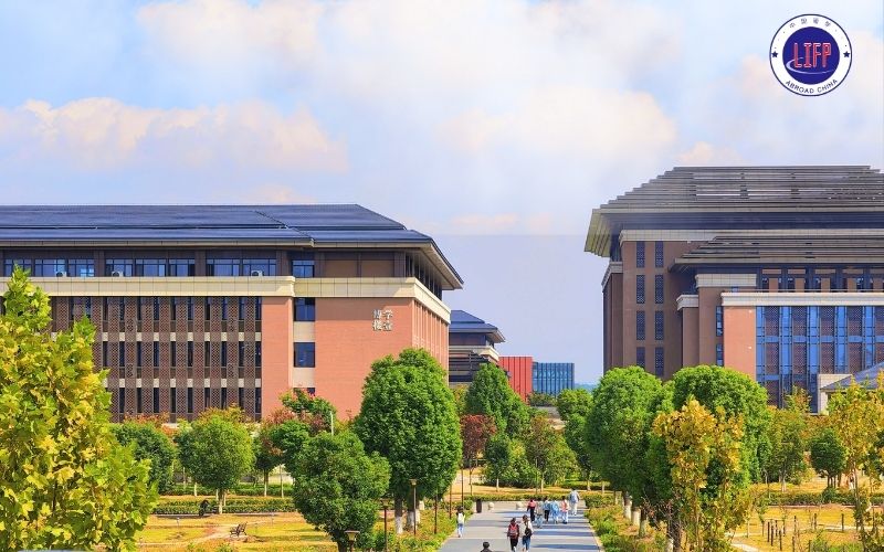 ทุน 1+4 จีน เหมาะกับใคร? ใครบ้างที่สมัครได้